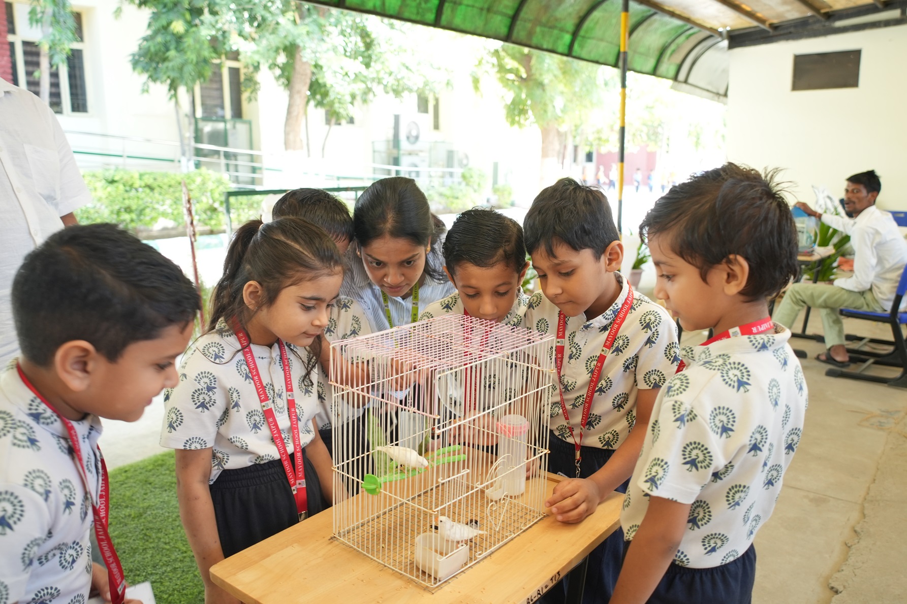 Education World Award